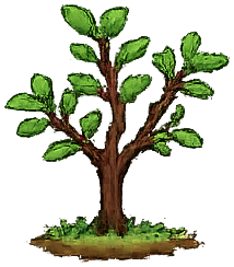Sapling