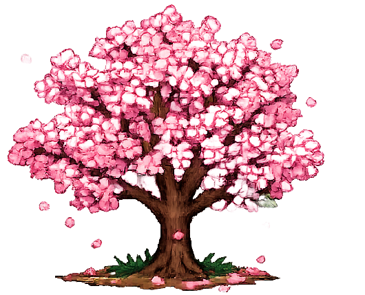 Full bloom